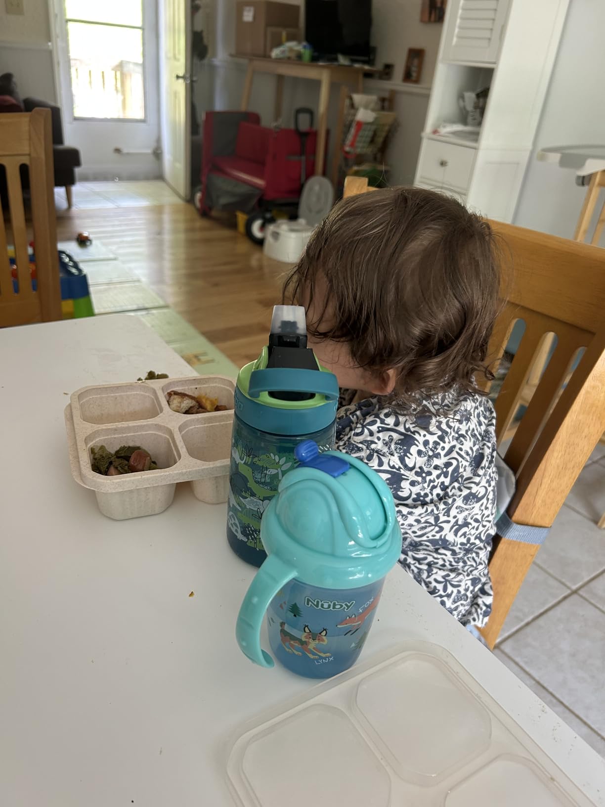 Contigo Aubrey Kids Water Bottle, 2-Pack, 14oz, Dinos & Sharks, Spill-Proof Lid, Dishwasher Safe, Blue & Green Customer Review Contigo Aubrey Kids Water Bottle, 2-Pack, 14oz, Dinos & Sharks, Spill-Proof Lid, Dishwasher Safe, Blue & Green - Customer Photo 2