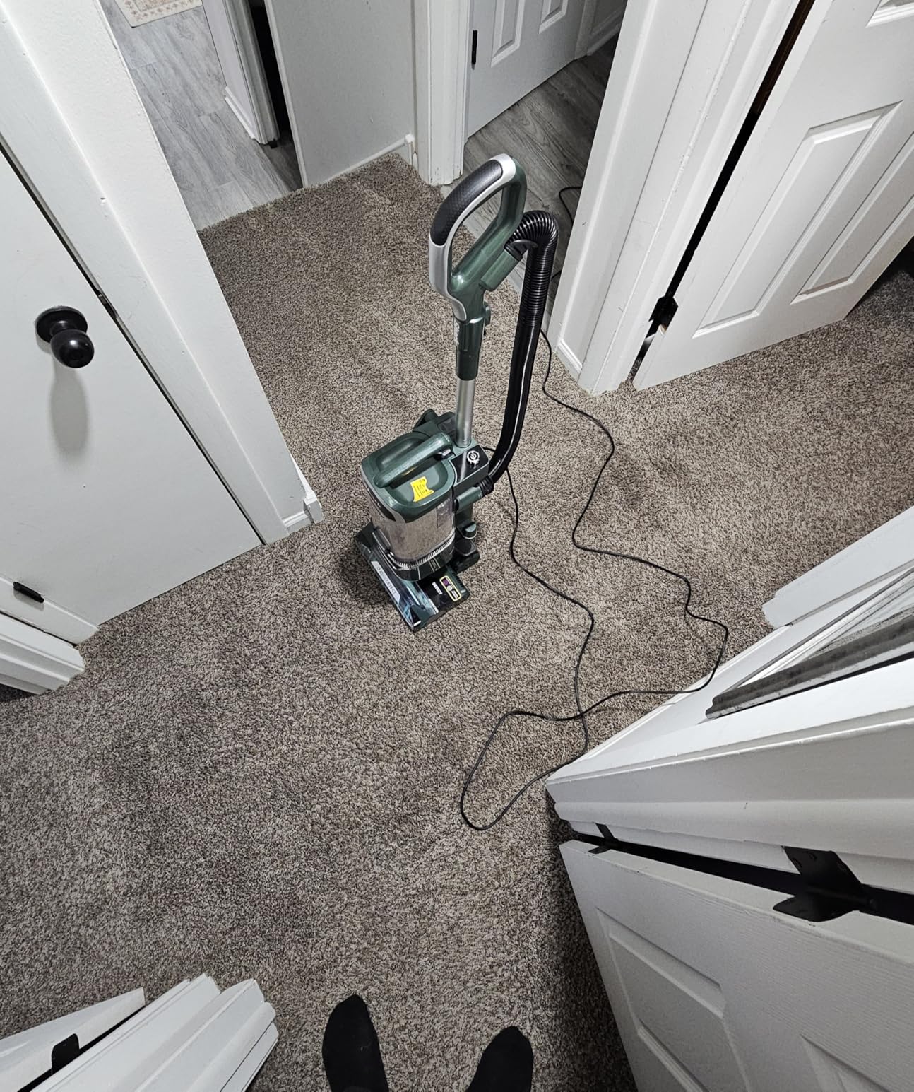 Shark | Upright Vacuum Cleaner for Home | Rotator Lift-Away | No Hair Wrap | HEPA Filter | Lightweight Bagless Vacuum for Pet Hair | LED Headlights For Carpets & Hardwood Floors | Silver | LA502 Customer Review Shark | Upright Vacuum Cleaner for Home | Rotator Lift-Away | No Hair Wrap | HEPA Filter | Lightweight Bagless Vacuum for Pet Hair | LED Headlights For Carpets & Hardwood Floors | Silver | LA502 - Customer Photo 1