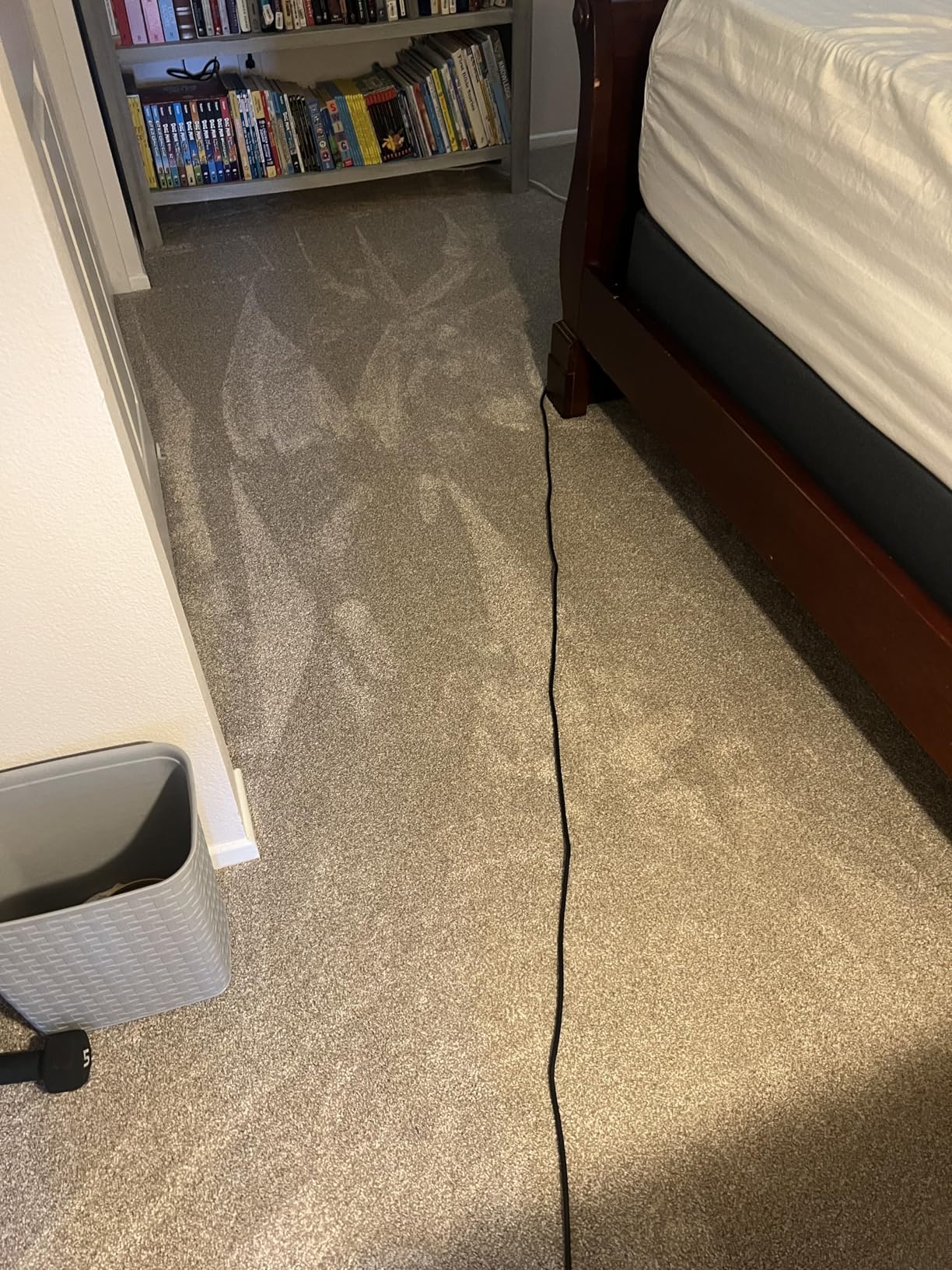 Shark | Upright Vacuum Cleaner for Home | Rotator Lift-Away | No Hair Wrap | HEPA Filter | Lightweight Bagless Vacuum for Pet Hair | LED Headlights For Carpets & Hardwood Floors | Silver | LA502 Customer Review Shark | Upright Vacuum Cleaner for Home | Rotator Lift-Away | No Hair Wrap | HEPA Filter | Lightweight Bagless Vacuum for Pet Hair | LED Headlights For Carpets & Hardwood Floors | Silver | LA502 - Customer Photo 3