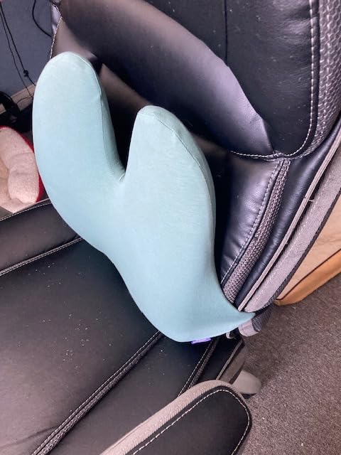 C CUSHION LAB Extra Dense Lumbar Pillow - Patented Ergonomic Multi-Region Firm Back Support for Lower Back Pain Relief - Lumbar Support Cushion with Strap for Office Chair, Car, Sofa, Plane - Black Customer Review C CUSHION LAB Extra Dense Lumbar Pillow - Patented Ergonomic Multi-Region Firm Back Support for Lower Back Pain Relief - Lumbar Support Cushion with Strap for Office Chair, Car, Sofa, Plane - Black - Customer Photo 5