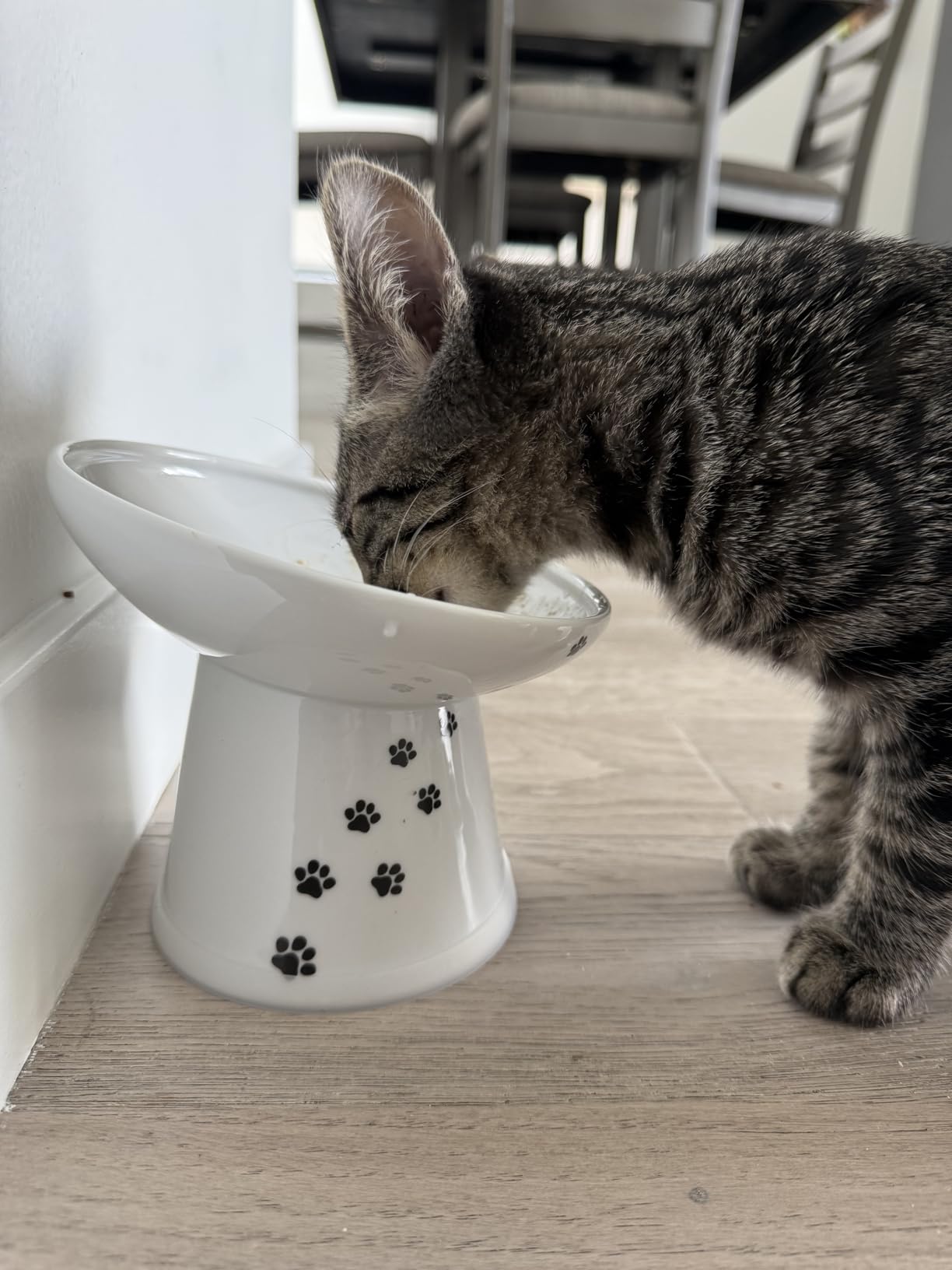 Necoichi Raised Cat Food Bowl – Ceramic Elevated 15° Tilted Cat Bowl for Whisker & Neck Fatigue, Dishwasher Microwave Safe – Non-Slip & Anti Vomiting Ergonomic Design (Cats, Extra Wide Tilted) Customer Review Necoichi Raised Cat Food Bowl – Ceramic Elevated 15° Tilted Cat Bowl for Whisker & Neck Fatigue, Dishwasher Microwave Safe – Non-Slip & Anti Vomiting Ergonomic Design (Cats, Extra Wide Tilted) - Customer Photo 2