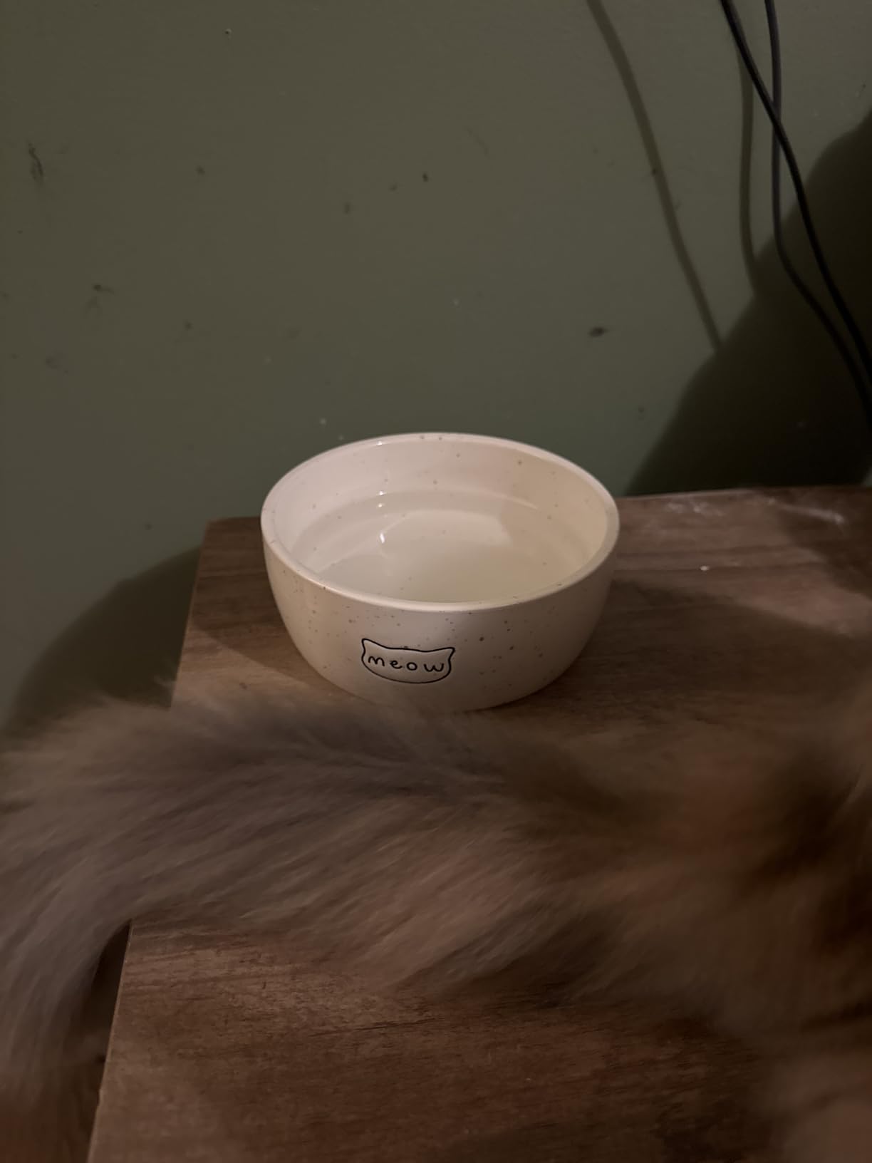 Pearhead Ceramic Bowl, Holds 2 Cups, Cute Whisker-Friendly Dish with Cat Face Design, Non-Slip, Microwave and Dishwasher Safe, Small/Medium Customer Review Pearhead Ceramic Bowl, Holds 2 Cups, Cute Whisker-Friendly Dish with Cat Face Design, Non-Slip, Microwave and Dishwasher Safe, Small/Medium - Customer Photo 2