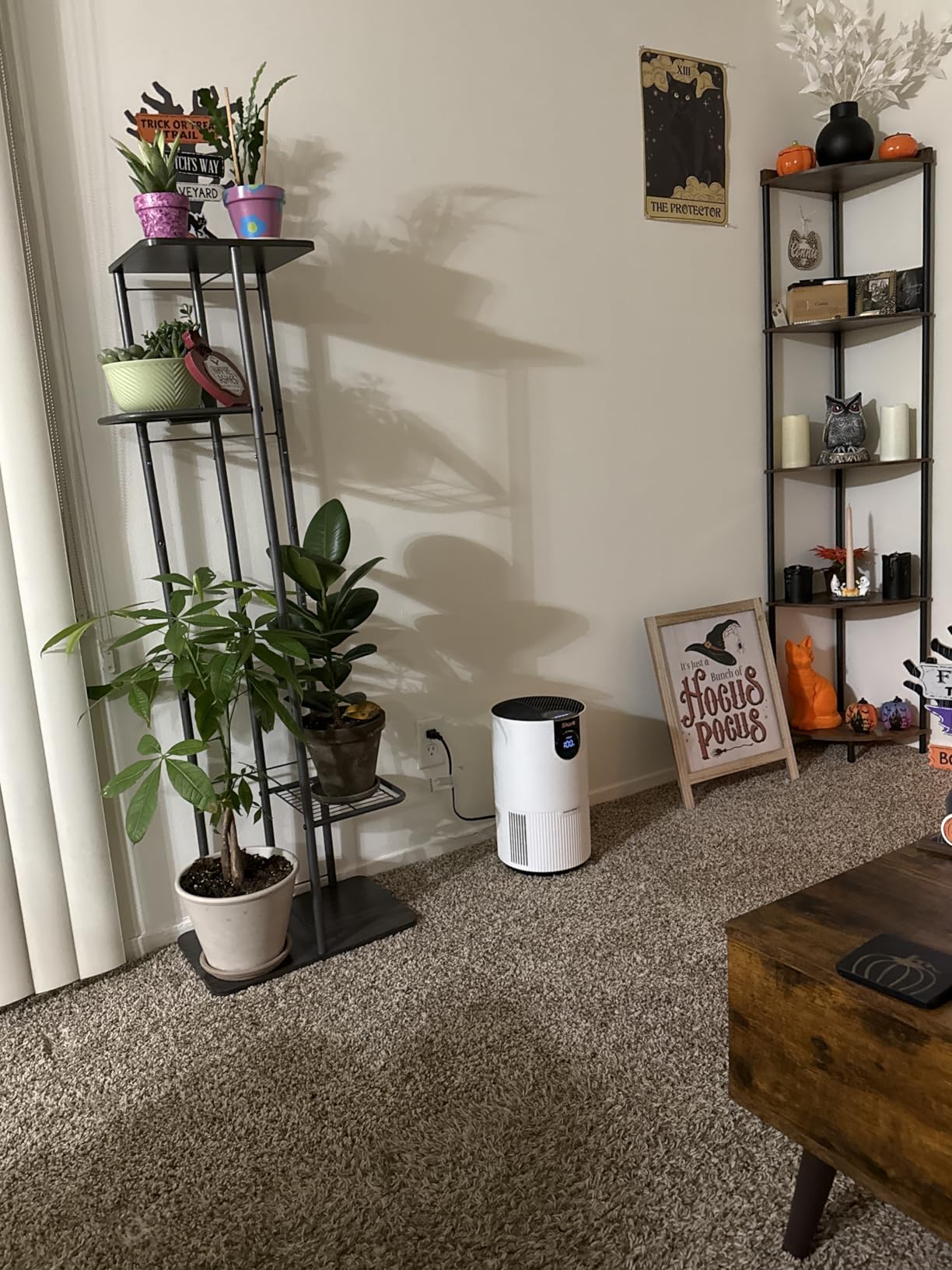 Shark Air Purifier for Home Large Room, Clean Sense Technology, HEPA Air Filter, 1000 Sq Ft, Kitchen, Filters Smoke, Captures 99.98% of Particles, Pet Dander, Pollutants, Dust, Allergens, HP201 Customer Review Shark Air Purifier for Home Large Room, Clean Sense Technology, HEPA Air Filter, 1000 Sq Ft, Kitchen, Filters Smoke, Captures 99.98% of Particles, Pet Dander, Pollutants, Dust, Allergens, HP201 - Customer Photo 1