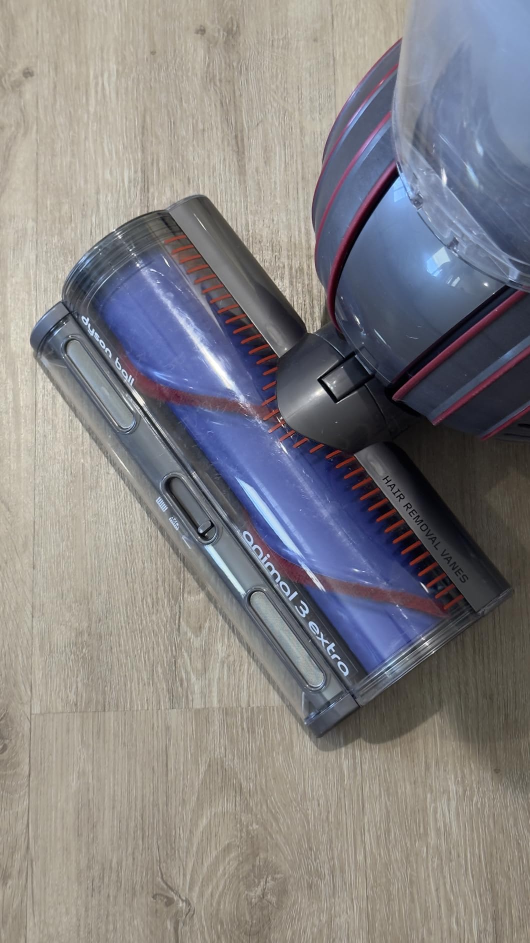 Dyson Ball Animal 3 Upright Vacuum, Corded, 290AW, De-tangling Motorbar Cleaner Head for All Floors, 3 Suction Modes Customer Review Dyson Ball Animal 3 Upright Vacuum, Corded, 290AW, De-tangling Motorbar Cleaner Head for All Floors, 3 Suction Modes - Customer Photo 2