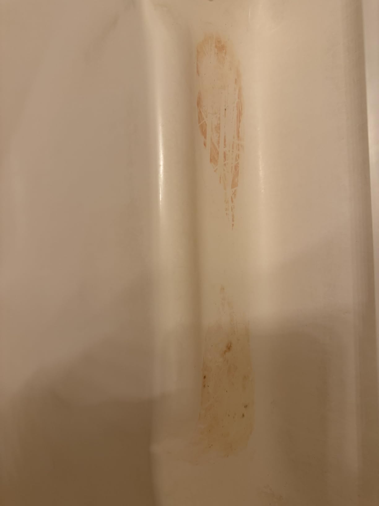 ATTITUDE Shower & Tile Cleaner Refill, EWG Verified, Plant-Based & Vegan Bathroom Spray, Removes Soap Scum & Grime, Citrus Zest Scent, 67.6 Fl Oz Customer Review ATTITUDE Shower & Tile Cleaner Refill, EWG Verified, Plant-Based & Vegan Bathroom Spray, Removes Soap Scum & Grime, Citrus Zest Scent, 67.6 Fl Oz - Customer Photo 1