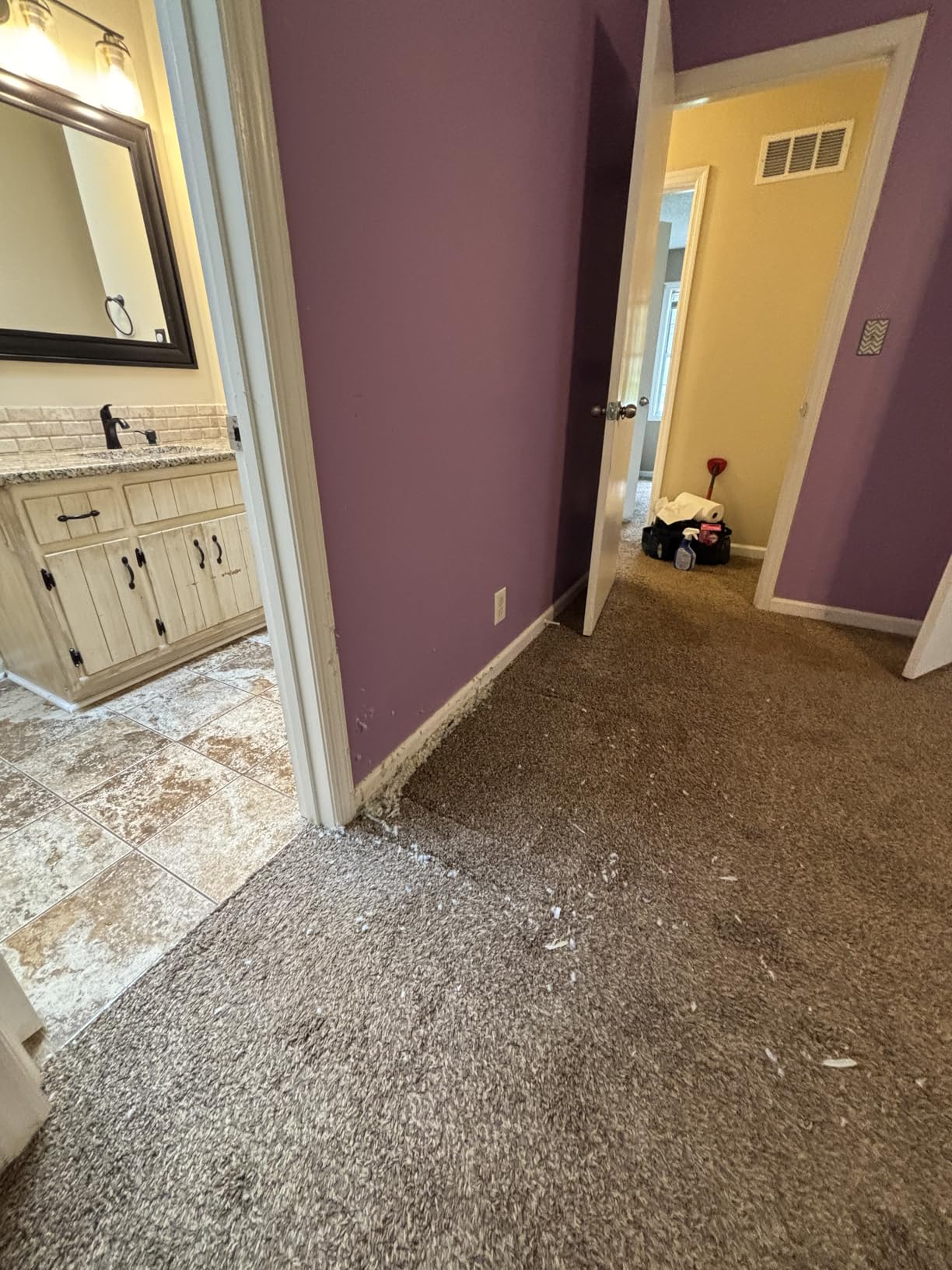 BISSELL CleanView Rewind Upright Bagless Vacuum with Automatic Cord Rewind & Active Wand, 3534 Customer Review BISSELL CleanView Rewind Upright Bagless Vacuum with Automatic Cord Rewind & Active Wand, 3534 - Customer Photo 1