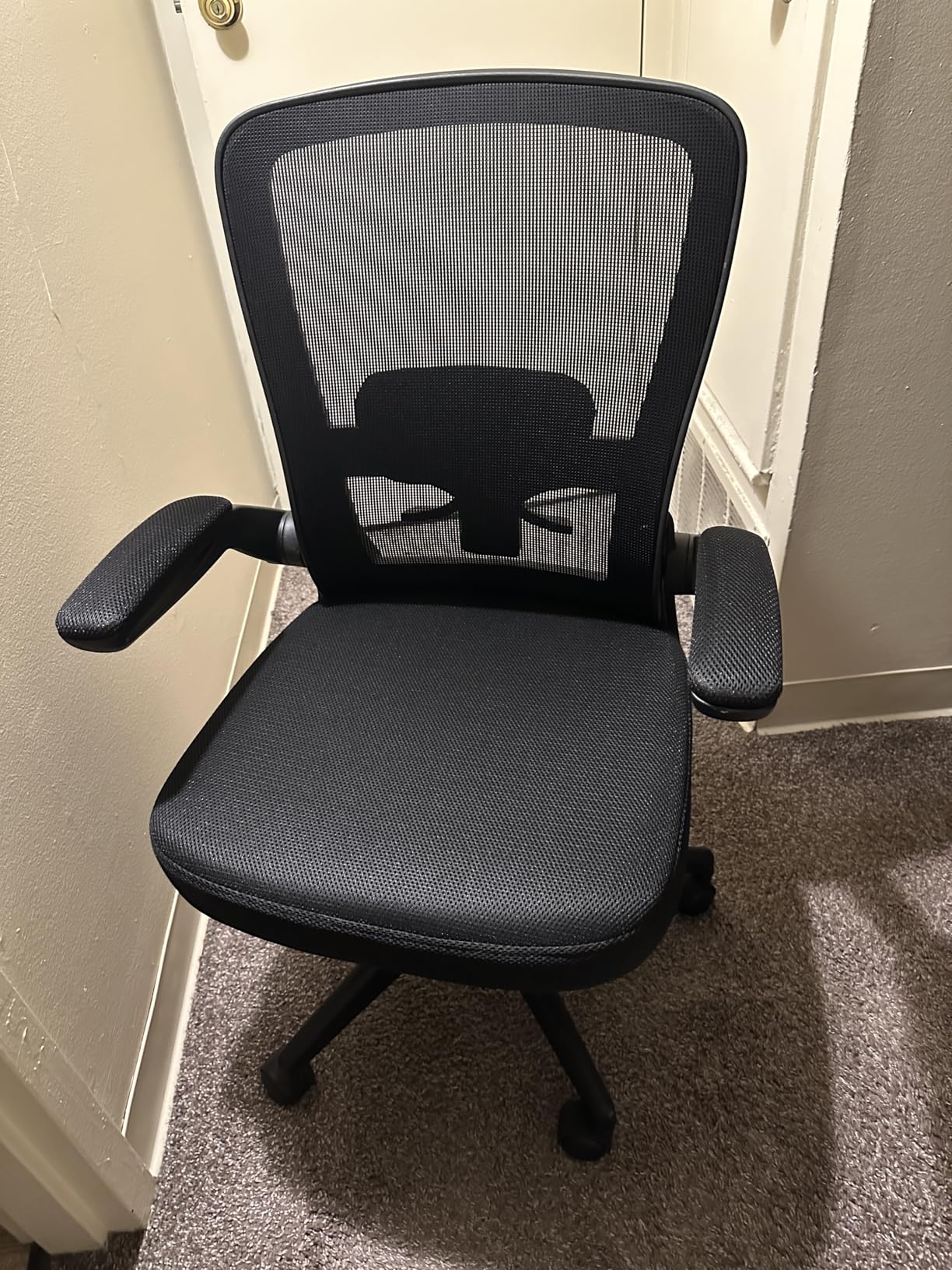 FelixKing Office Chair, Ergonomic Desk Chair Breathable Mesh Chairs Adjustable High Back Lumbar Support Flip-up Armrests, Executive Rolling Swivel Comfy Computer Chairs Home Office Black Customer Review FelixKing Office Chair, Ergonomic Desk Chair Breathable Mesh Chairs Adjustable High Back Lumbar Support Flip-up Armrests, Executive Rolling Swivel Comfy Computer Chairs Home Office Black - Customer Photo 2