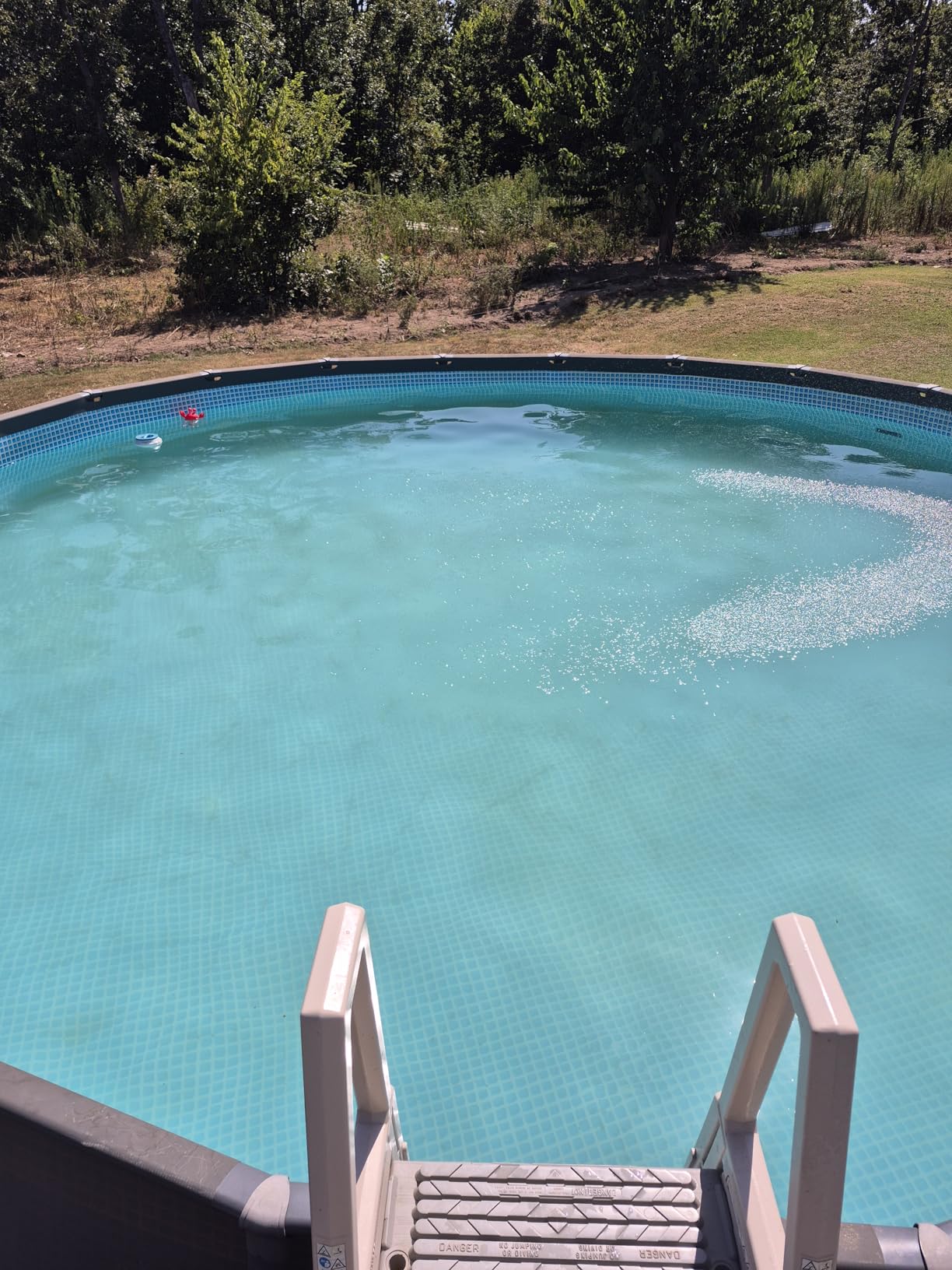 Pool Vacuum for Above Ground Pool with a Telescopic Pole, Running time up to 1H, T403 Handheld Rechargeable Pool Cleaner with Powerful Suction up to 18.5 gallons/min, Ideal for Leaves, Debris Customer Review Pool Vacuum for Above Ground Pool with a Telescopic Pole, Running time up to 1H, T403 Handheld Rechargeable Pool Cleaner with Powerful Suction up to 18.5 gallons/min, Ideal for Leaves, Debris - Customer Photo 2