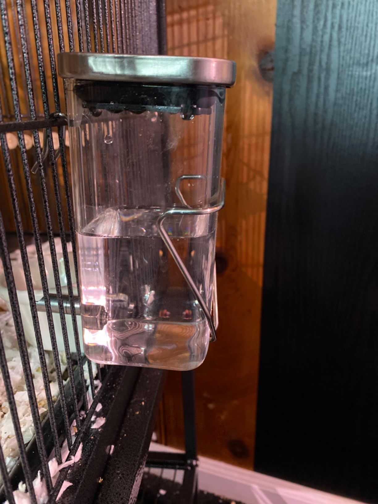 Guinea Pig Water Bottle No Drip, Rabbit Glass Waterer, Chinchilla Stainless Steel Nozzle Anti-Bite Water Dispenser for Small Animal, Bunny, Hamster, Sugar Glider and Rat(20.2oz) Customer Review Guinea Pig Water Bottle No Drip, Rabbit Glass Waterer, Chinchilla Stainless Steel Nozzle Anti-Bite Water Dispenser for Small Animal, Bunny, Hamster, Sugar Glider and Rat(20.2oz) - Customer Photo 1