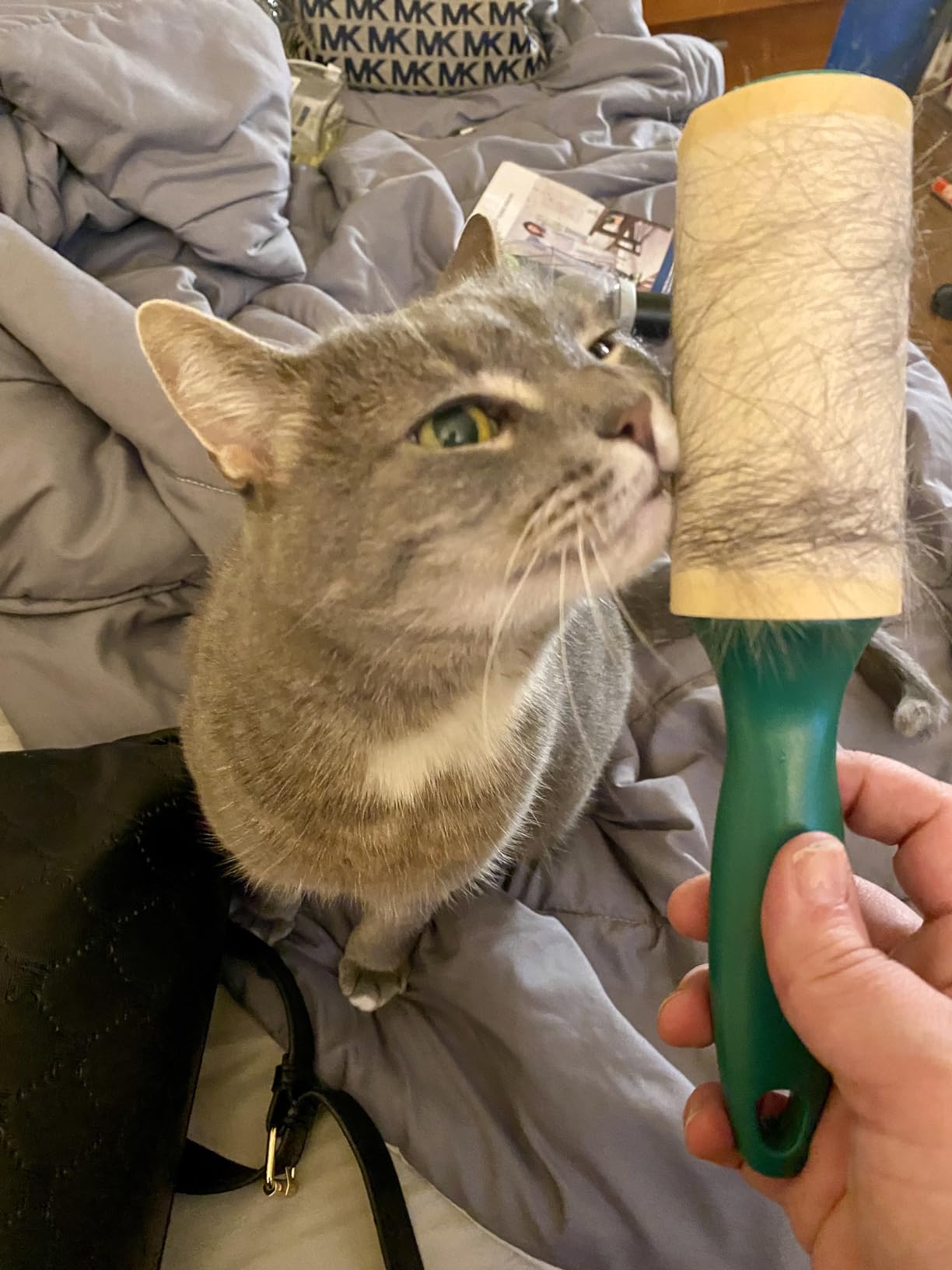 BISSELL Pet Hair Eraser Turbo Lift-Off Vacuum, w/Self-Cleaning Brush Roll, HEPA Filtration, Powerful Pet Hair Pickup with TurboBrush Pivot Tool & LED-lit dusting Brush & Crevice Tool, 3774F Customer Review BISSELL Pet Hair Eraser Turbo Lift-Off Vacuum, w/Self-Cleaning Brush Roll, HEPA Filtration, Powerful Pet Hair Pickup with TurboBrush Pivot Tool & LED-lit dusting Brush & Crevice Tool, 3774F - Customer Photo 2