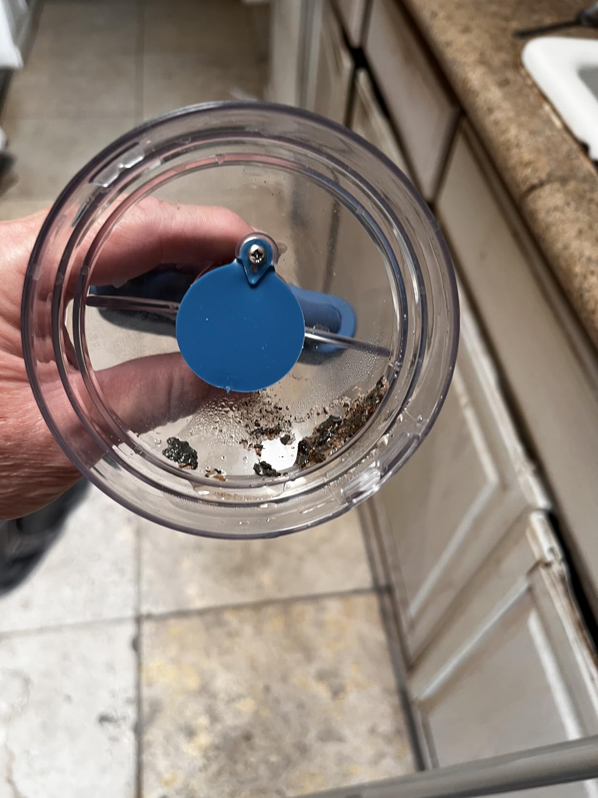 KOKIDO (2025) Rechargeable Handheld Pool Vacuum, Aluminum Pole and 2 Brush Heads, 10GPM flowrate Ideal for Pools up to 20ft, Cordless 60 mins Spot Cleaning, Above Ground Pool, Hot Tub & Spa XV110 Customer Review KOKIDO (2025) Rechargeable Handheld Pool Vacuum, Aluminum Pole and 2 Brush Heads, 10GPM flowrate Ideal for Pools up to 20ft, Cordless 60 mins Spot Cleaning, Above Ground Pool, Hot Tub & Spa XV110 - Customer Photo 2