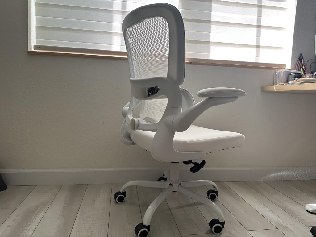 TRALT Office Chair - Ergonomic Desk Chair with Adjustable Lumbar Support, Mesh Computer Chair, Executive Chairs for Home Office Comfortable Lumbar Support (Black) Customer Review TRALT Office Chair - Ergonomic Desk Chair with Adjustable Lumbar Support, Mesh Computer Chair, Executive Chairs for Home Office Comfortable Lumbar Support (Black) - Customer Photo 2