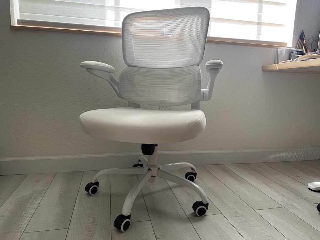 TRALT Office Chair - Ergonomic Desk Chair with Adjustable Lumbar Support, Mesh Computer Chair, Executive Chairs for Home Office Comfortable Lumbar Support (Black) Customer Review TRALT Office Chair - Ergonomic Desk Chair with Adjustable Lumbar Support, Mesh Computer Chair, Executive Chairs for Home Office Comfortable Lumbar Support (Black) - Customer Photo 2