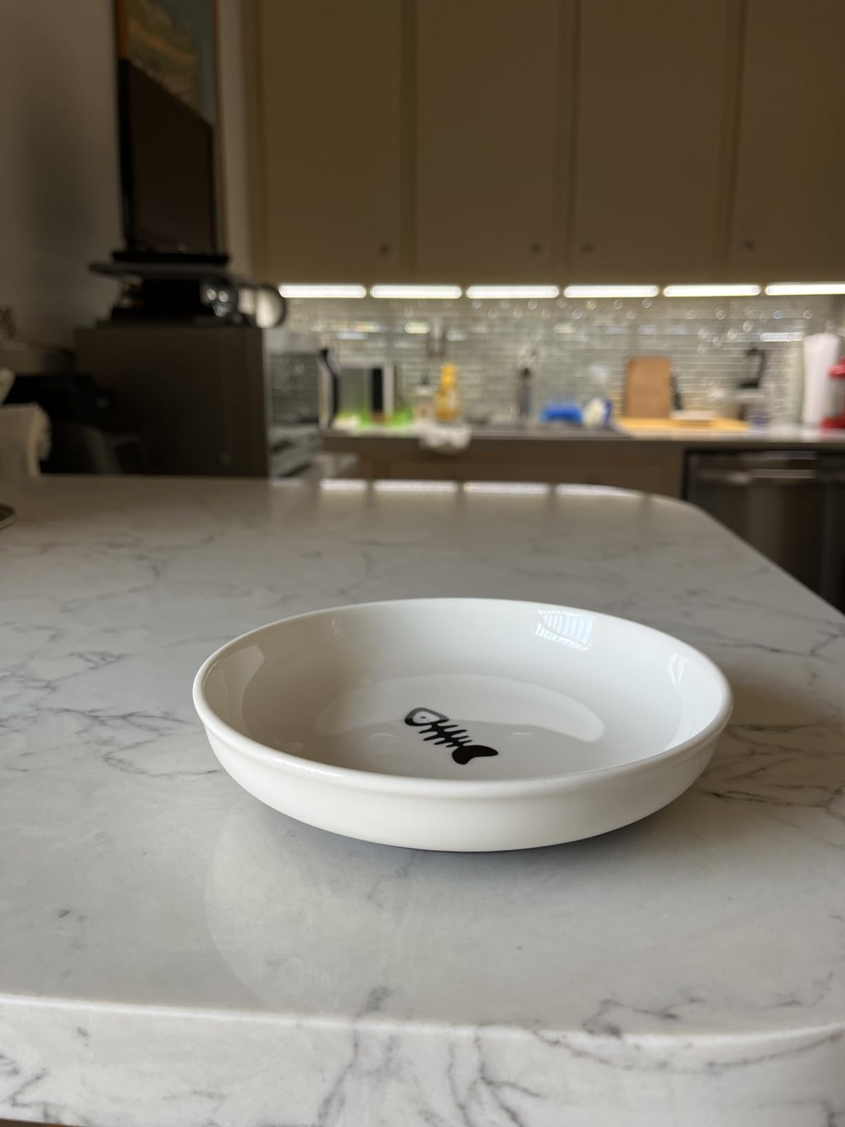 No Spill Cat Bowls,Cat Food Bowl,Anti Whisker Fatigue Healthy Ceramic Cats Dishes Set for Indoor Cats,Shallow Wide Kitten Plates for Food and Water,Non-Slip Silicone Bottom,3 Pack Customer Review No Spill Cat Bowls,Cat Food Bowl,Anti Whisker Fatigue Healthy Ceramic Cats Dishes Set for Indoor Cats,Shallow Wide Kitten Plates for Food and Water,Non-Slip Silicone Bottom,3 Pack - Customer Photo 2