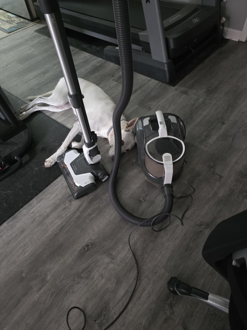 Kenmore DC5070 500 Series Bagless Canister Vacuum with Hair Eliminator Brushroll, 2-Motor Cyclonic Technology, HEPA Filtration & 24' Auto Cord Rewind for Pet, Carpets, Hard Floors, Stairs, White Customer Review Kenmore DC5070 500 Series Bagless Canister Vacuum with Hair Eliminator Brushroll, 2-Motor Cyclonic Technology, HEPA Filtration & 24' Auto Cord Rewind for Pet, Carpets, Hard Floors, Stairs, White - Customer Photo 2