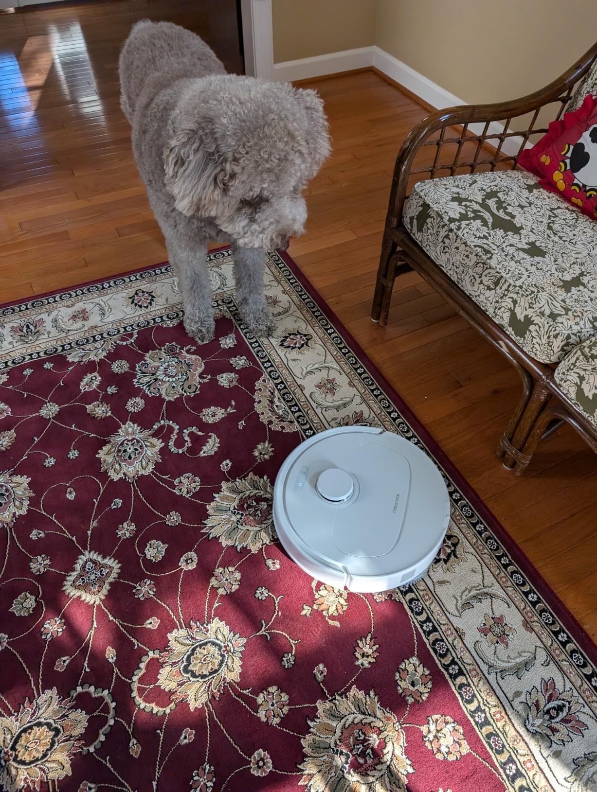 roborock Qrevo Series Robot Vacuum and Mop, 8000Pa Suction, Upgraded from Qrevo S, Anti-Tangle Brushes, Smart Obstacle Avoidance, Auto Mop Washing, All-in-One Dock, 200RPM Spinning Mops, Black(QV 35A) Customer Review roborock Qrevo Series Robot Vacuum and Mop, 8000Pa Suction, Upgraded from Qrevo S, Anti-Tangle Brushes, Smart Obstacle Avoidance, Auto Mop Washing, All-in-One Dock, 200RPM Spinning Mops, Black(QV 35A) - Customer Photo 1