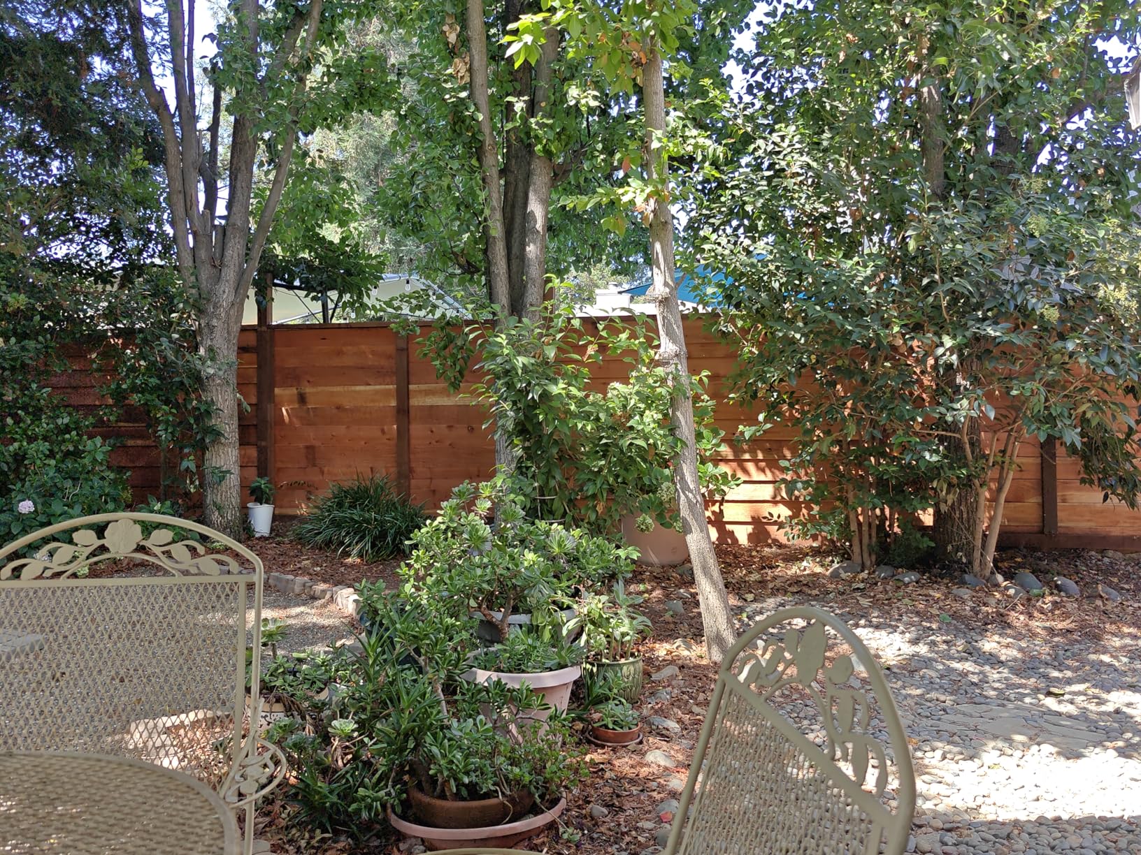 Wood Sealer Protection Liquid 1 Gallon (USA) 10 Year Wood Preserver Outdoor, Wood Sealer for decking, Fence, Sheds and Furniture Customer Review Wood Sealer Protection Liquid 1 Gallon (USA) 10 Year Wood Preserver Outdoor, Wood Sealer for decking, Fence, Sheds and Furniture - Customer Photo 2