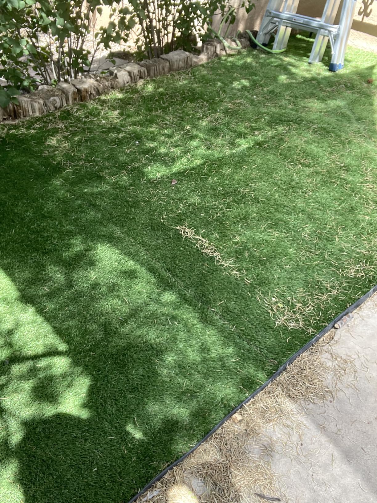 8 Best Vacuums For Artificial Grass (June 2026) Reviews