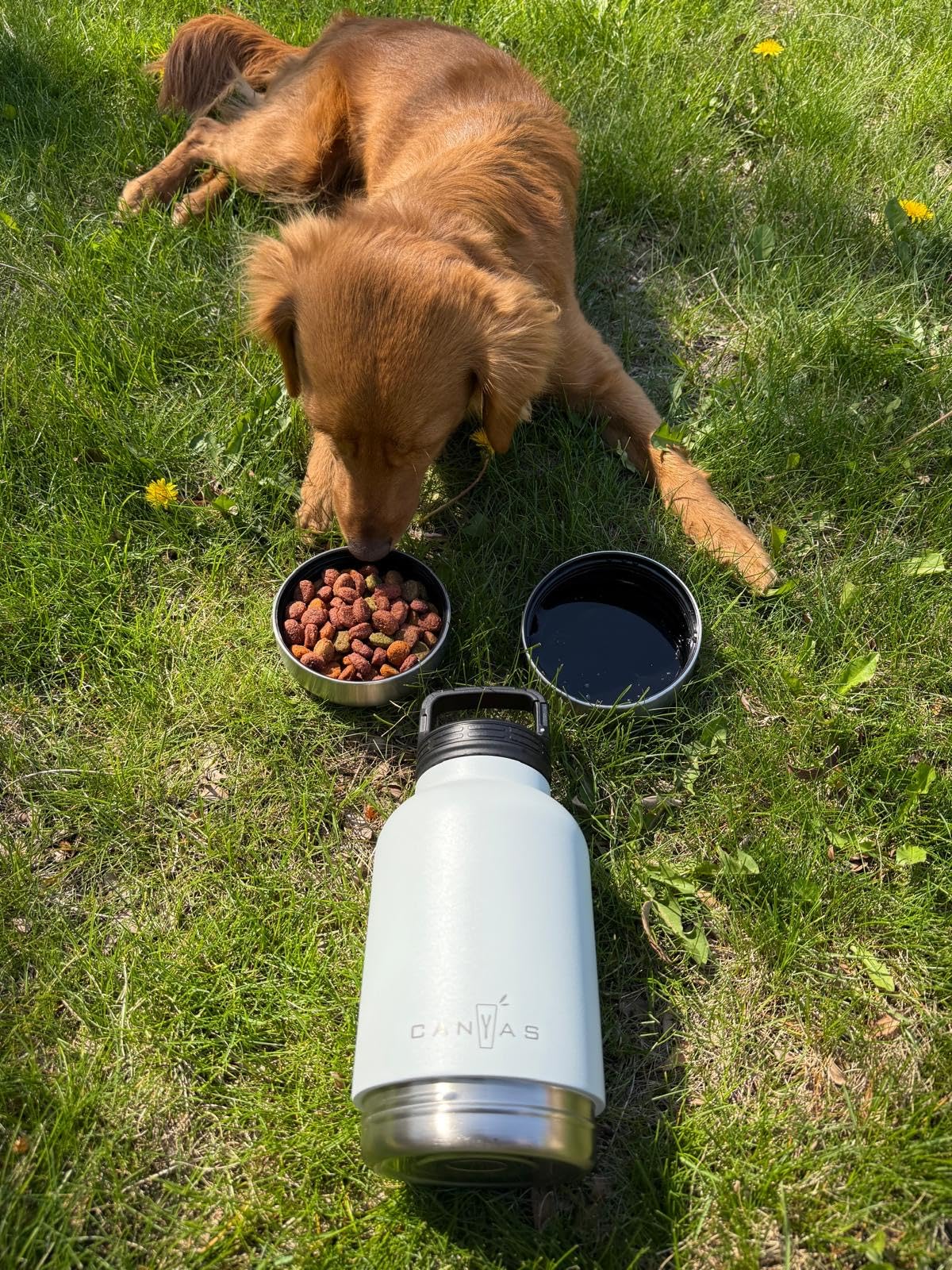 Insulated 32oz Stainless Steel Dog Water Bottle with Food & Water Bowls, Leak-Proof Pet Travel Dispenser for Dogs, Portable for Hiking, Walking, Outdoor Customer Review Insulated 32oz Stainless Steel Dog Water Bottle with Food & Water Bowls, Leak-Proof Pet Travel Dispenser for Dogs, Portable for Hiking, Walking, Outdoor - Customer Photo 1
