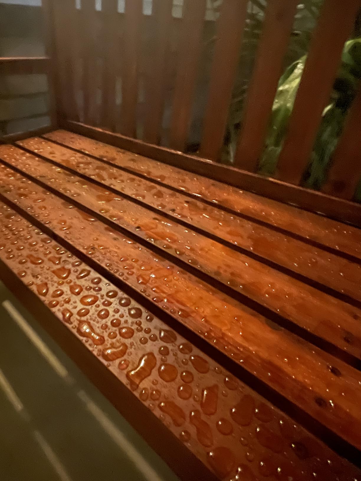 Olympic WaterGuard 1 gal. Clear Exterior Waterproofing Wood Sealer Customer Review Olympic WaterGuard 1 gal. Clear Exterior Waterproofing Wood Sealer - Customer Photo 1