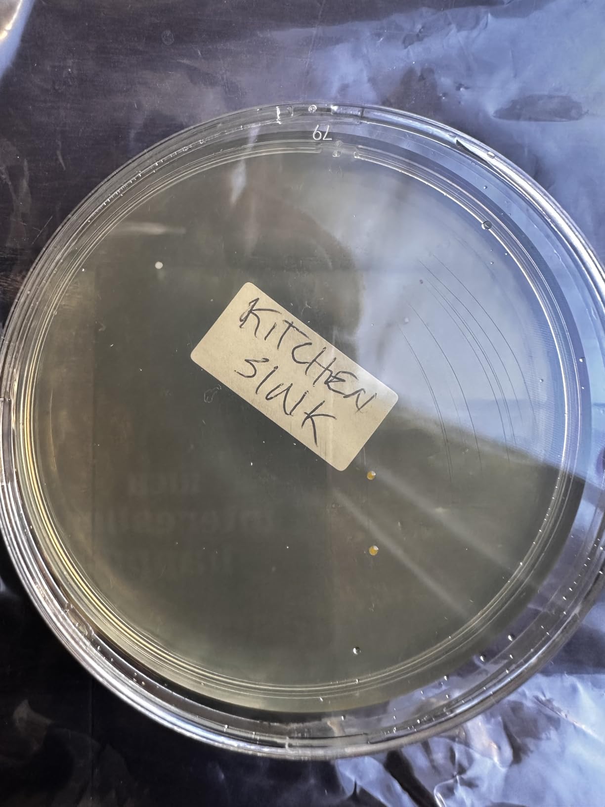 Bacteria Test Kits for Drinking Water - 12 Tests Detect Coliform, E.coli & All Bacteria | Home Quality Testing Kit for Well, Tap, Pool, Hot Tub & City Water | Easy DIY Tester with Free Lab Analysis - Customer Photo 5