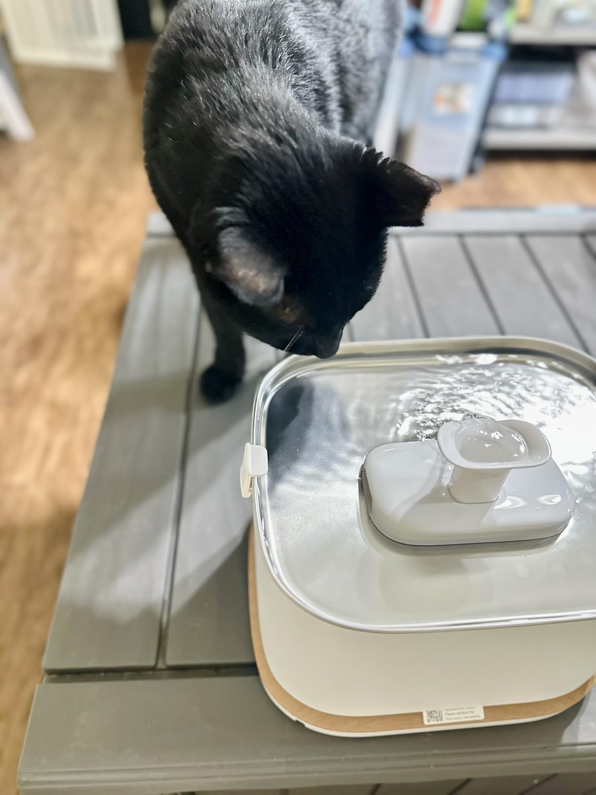PETLIBRO Upgrade Cat Water Fountain, Cordless Cat Fountain Battery Operated, App Monitoring 3L/101oz Dockstream 2 Pet Water Fountain with Stainless Steel Tray, 5GHz WiFi Dog Water Bowl Dispenser Customer Review PETLIBRO Upgrade Cat Water Fountain, Cordless Cat Fountain Battery Operated, App Monitoring 3L/101oz Dockstream 2 Pet Water Fountain with Stainless Steel Tray, 5GHz WiFi Dog Water Bowl Dispenser - Customer Photo 2