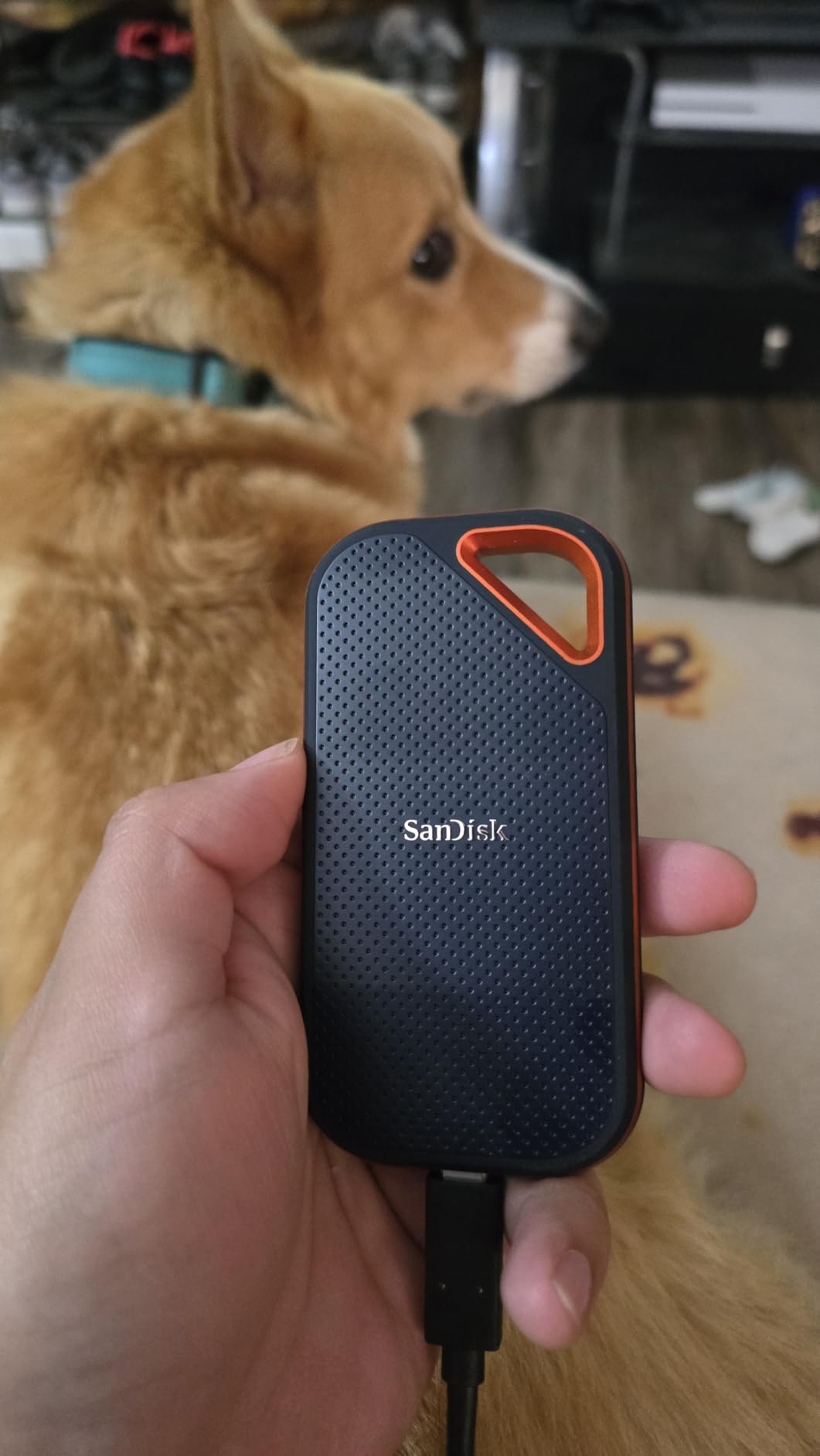 SanDisk 2TB Extreme PRO Portable SSD - Up to 2000MB/s - USB-C, USB 3.2 Gen 2x2, IP65 Water and Dust Resistance, Updated Firmware - External Solid State Drive - SDSSDE81-2T00-G25 - Customer Photo 1