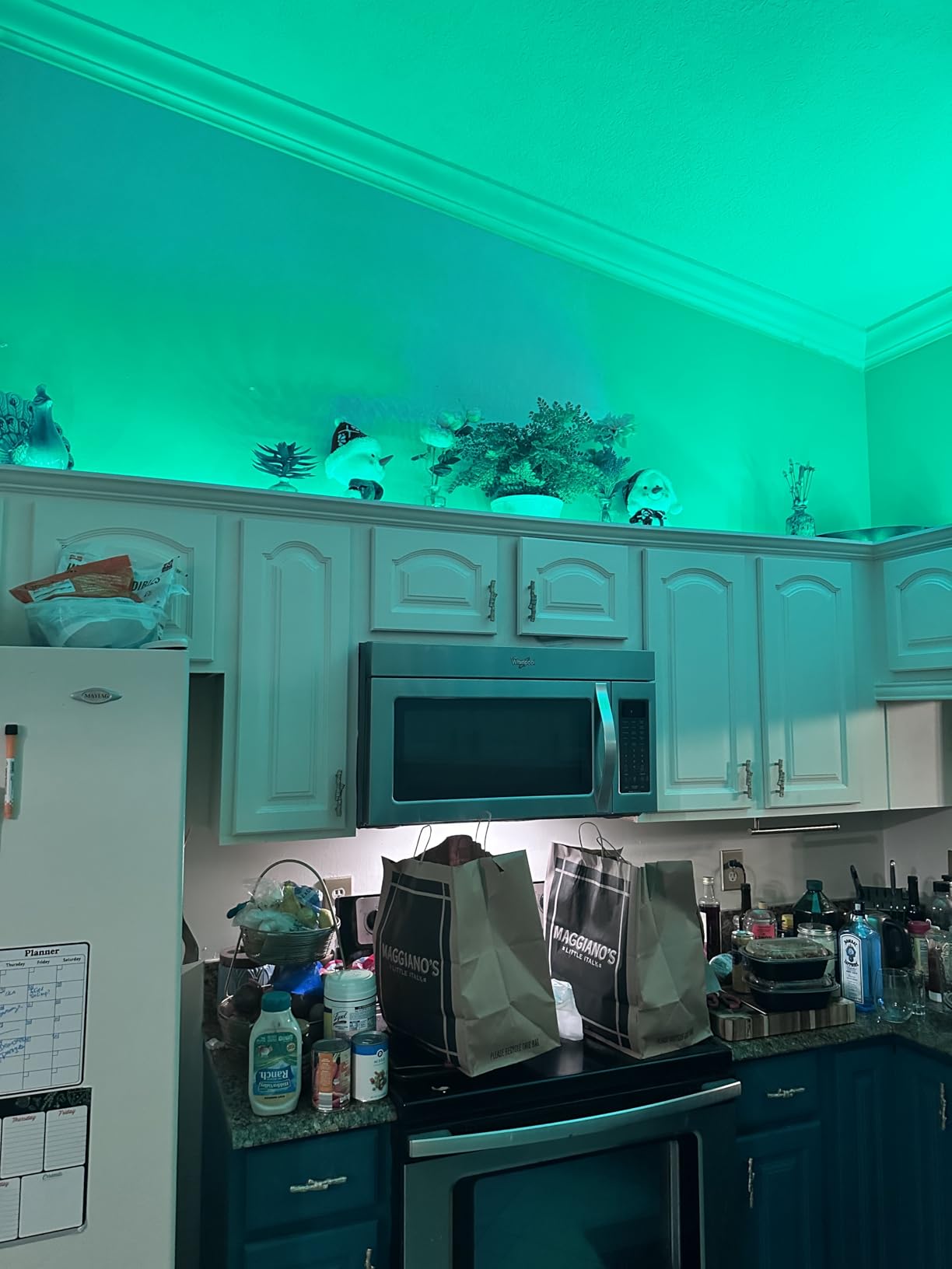 Govee RGBIC LED Strip Lights, Smart LED Lights for Bedroom, Bluetooth LED Lights APP Control, DIY Multiple Colors on One Line, Color Changing LED Strip Lighting Music Sync, Home Decor, 16.4ft - Customer Photo 2