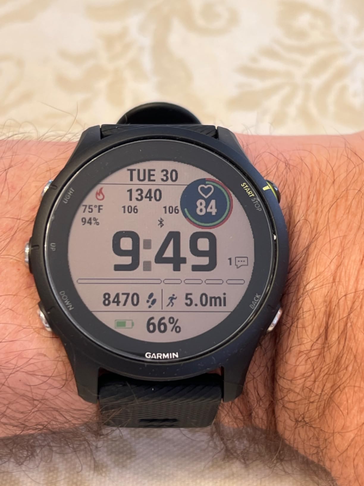 Garmin Forerunner® 255 Music, GPS Running Smartwatch with Music, Advanced Insights, Long-Lasting Battery, Black - 010-02641-20 Customer Review Garmin Forerunner® 255 Music, GPS Running Smartwatch with Music, Advanced Insights, Long-Lasting Battery, Black - 010-02641-20 - Customer Photo 1