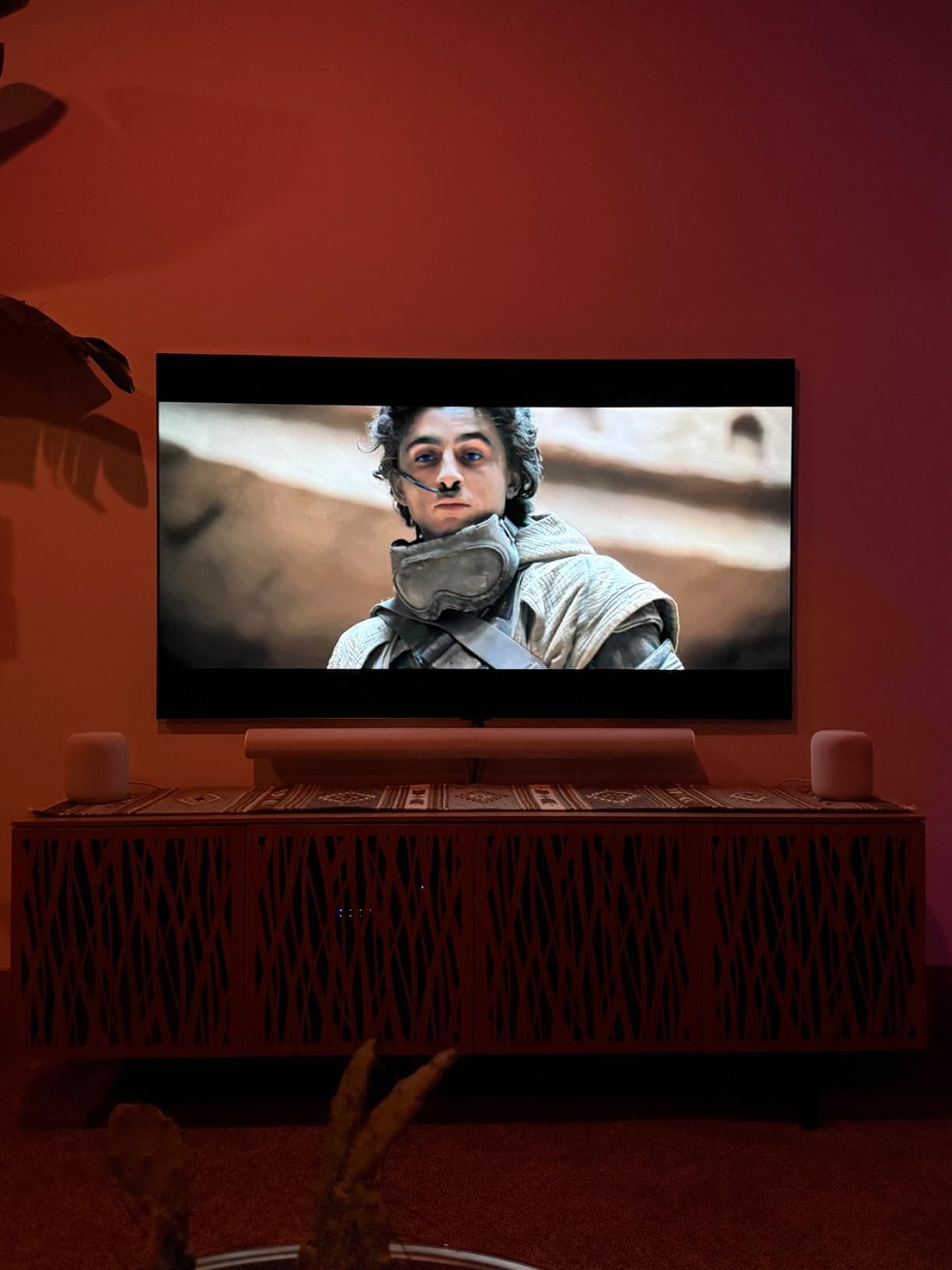 LG 77-Inch Class OLED evo G4 Series Smart TV 4K Processor Flat Screen with Magic Remote AI-Powered with Alexa Built-in (OLED77G4WUA, 2024) - Customer Photo 5