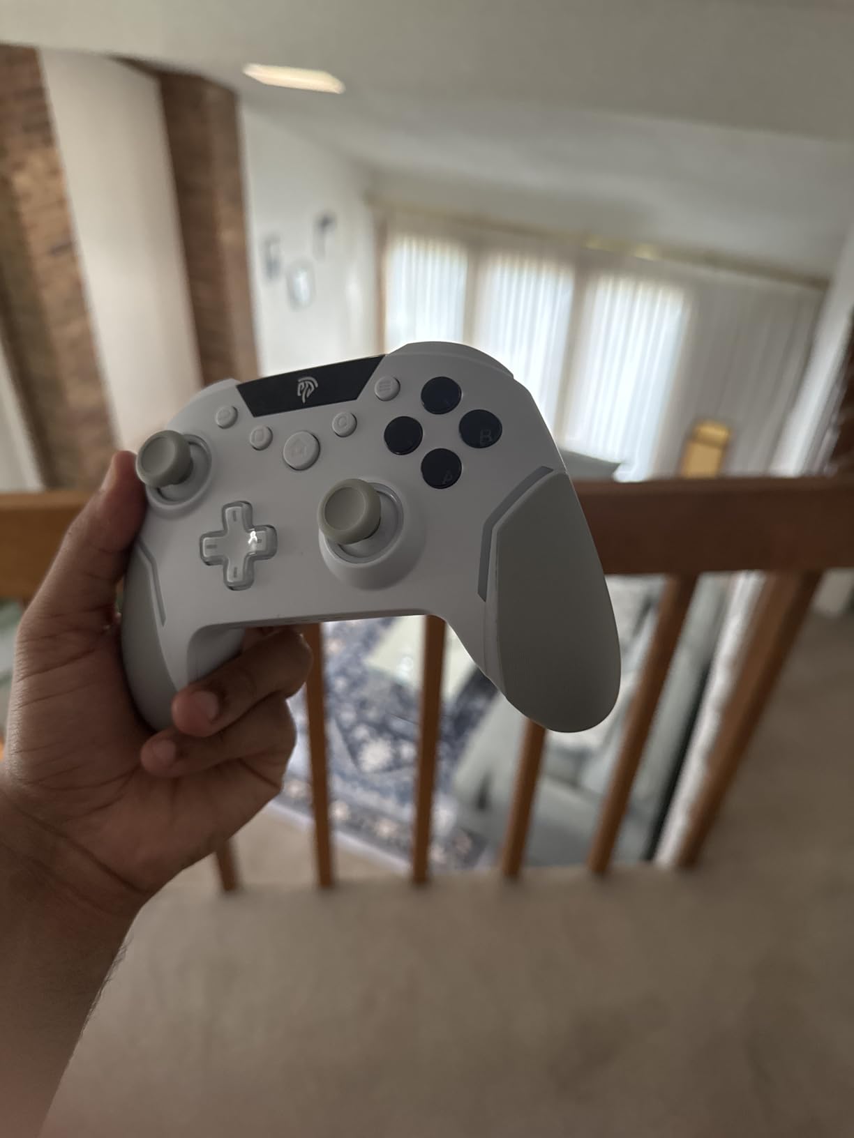 EasySMX X20 Wireless Gaming Controller with RGB Backlit, 2-Stage Hall Effect Stick, 1000Hz Polling Rate, 6-Axis Gyro on Multi-Platform, Mech Buttons- Compatible with PC/Switch/Steam/Android Customer Review EasySMX X20 Wireless Gaming Controller with RGB Backlit, 2-Stage Hall Effect Stick, 1000Hz Polling Rate, 6-Axis Gyro on Multi-Platform, Mech Buttons- Compatible with PC/Switch/Steam/Android - Customer Photo 2