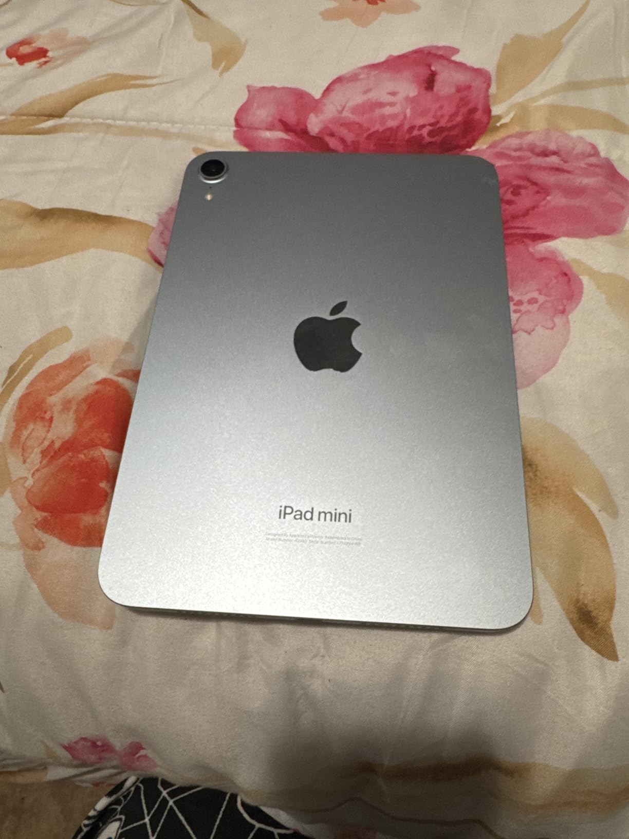 iPad mini (A17 Pro): Apple Intelligence, 8.3-inch Liquid Retina Display, 128GB, Wi-Fi 6E, 12MP Front/12MP Back Camera, Touch ID, All-Day Battery Life — Blue - Customer Photo 3