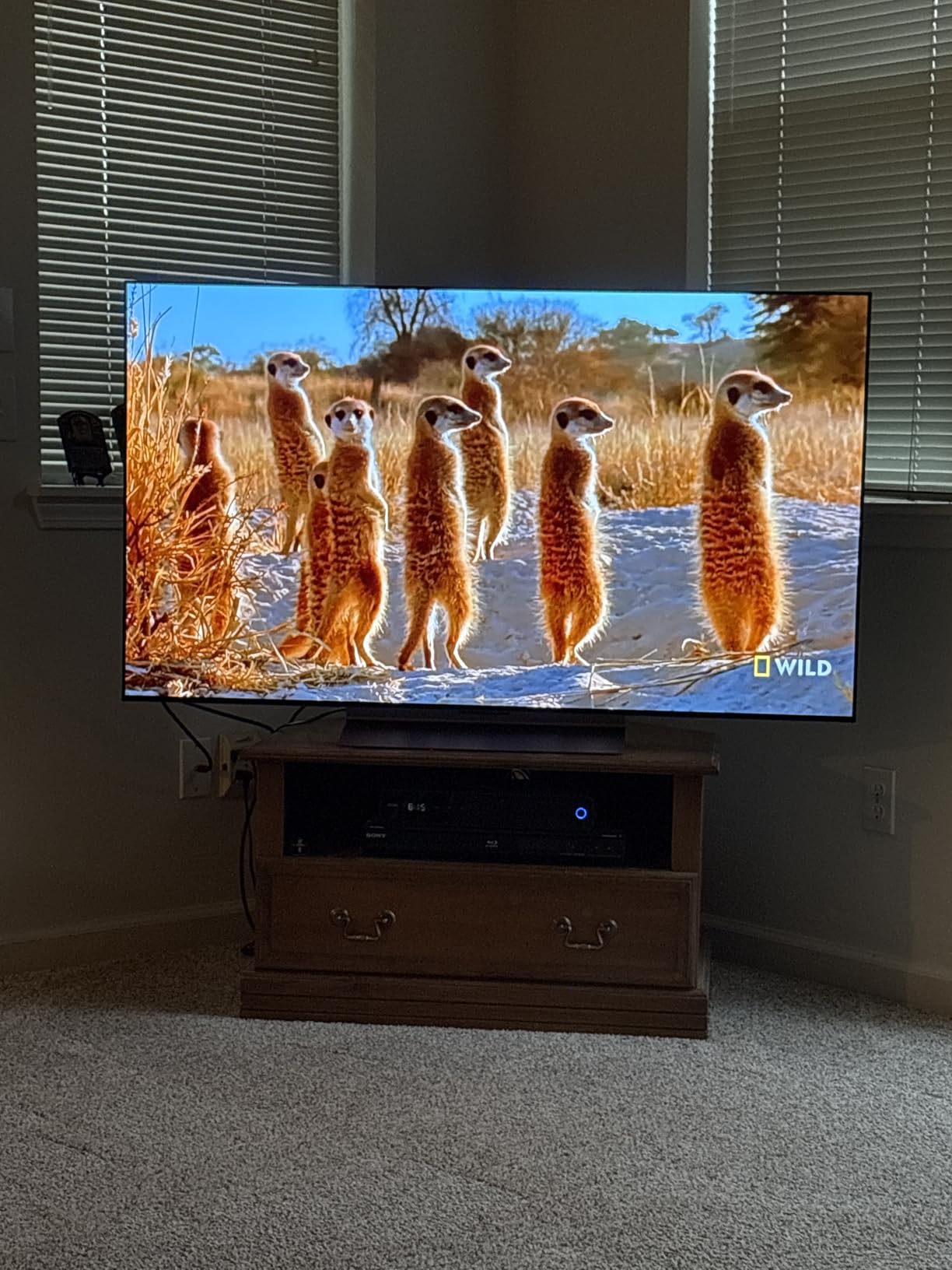 LG 55-Inch Class OLED evo AI 4K C5 Series Smart TV w/Dolby Atmos, Dolby Vision, HDR10, AI Super Upscaling 4K, Filmmaker Mode, Wow Orchestra, Alexa Built-in (OLED55C5PUA, 2025) - Customer Photo 5